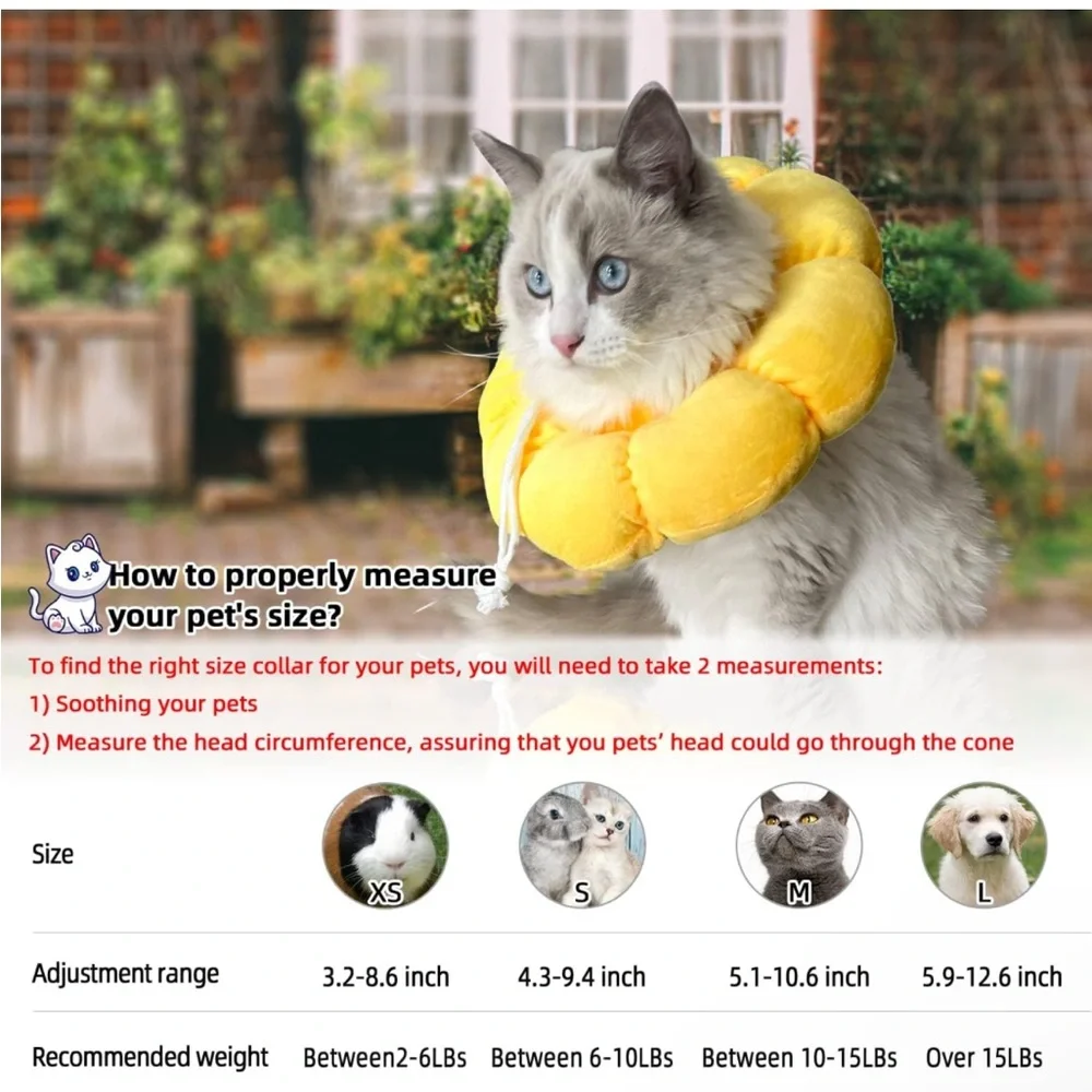 Recovery collar for small dogs and cats 🐱🐶